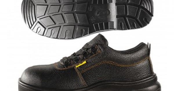 D&d safety shoes best sale